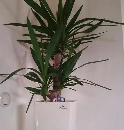 Casa vacanze Gartler's