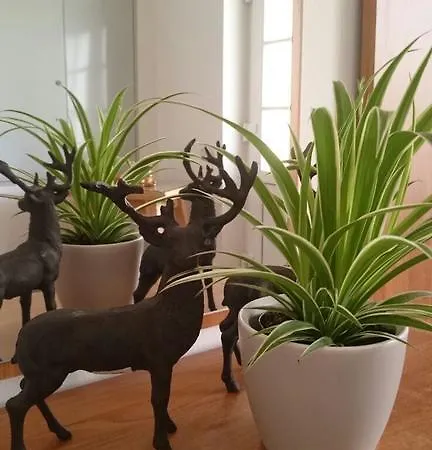 Casa vacanze Gartler's Weitersfeld an der Mur