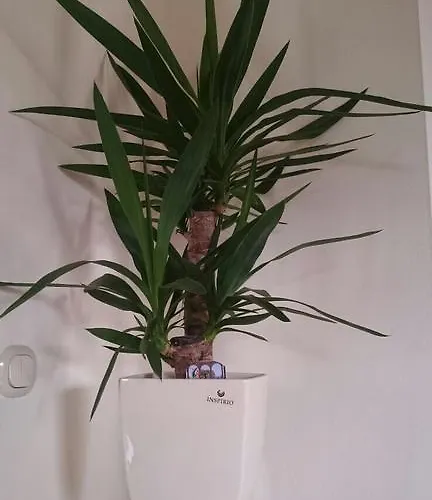 Semesterbostad Gartler's